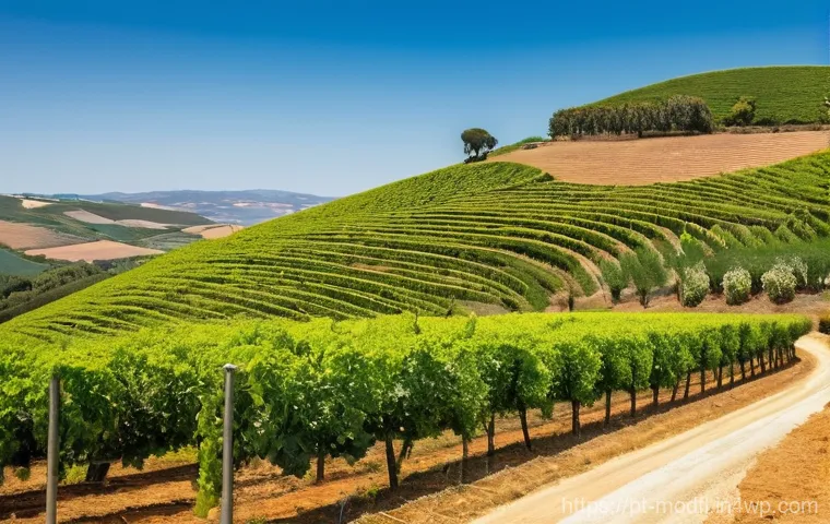 넷제로 경제 모델의 글로벌 트렌드 - **Prompt 1: Portugal's Green Energy Landscape**
"A breathtaking panoramic view of the Alentejo r...